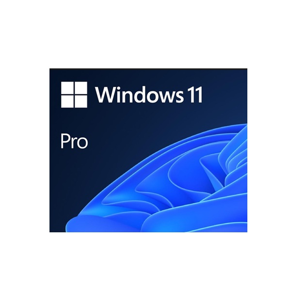 Windows 11 Pro